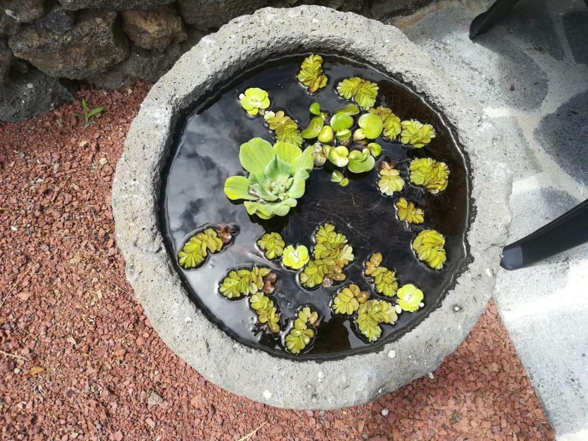 Casa Das Sereias Rabo de Peixe Ngoại thất bức ảnh